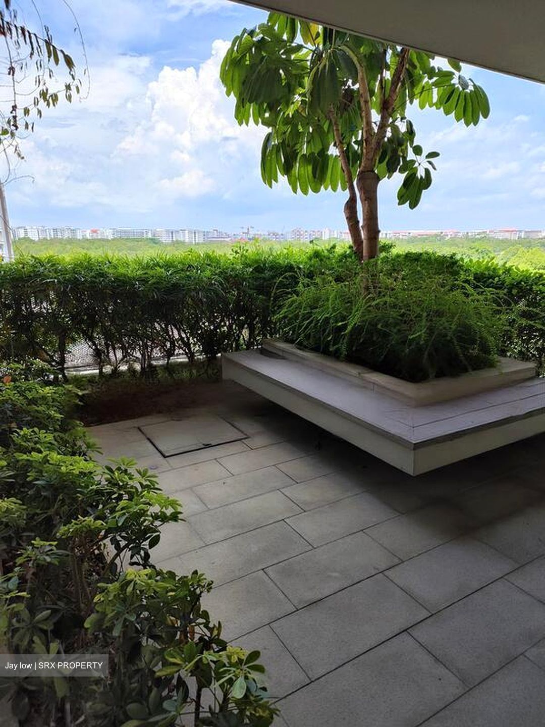 d'Nest (D18), Condominium #462726801